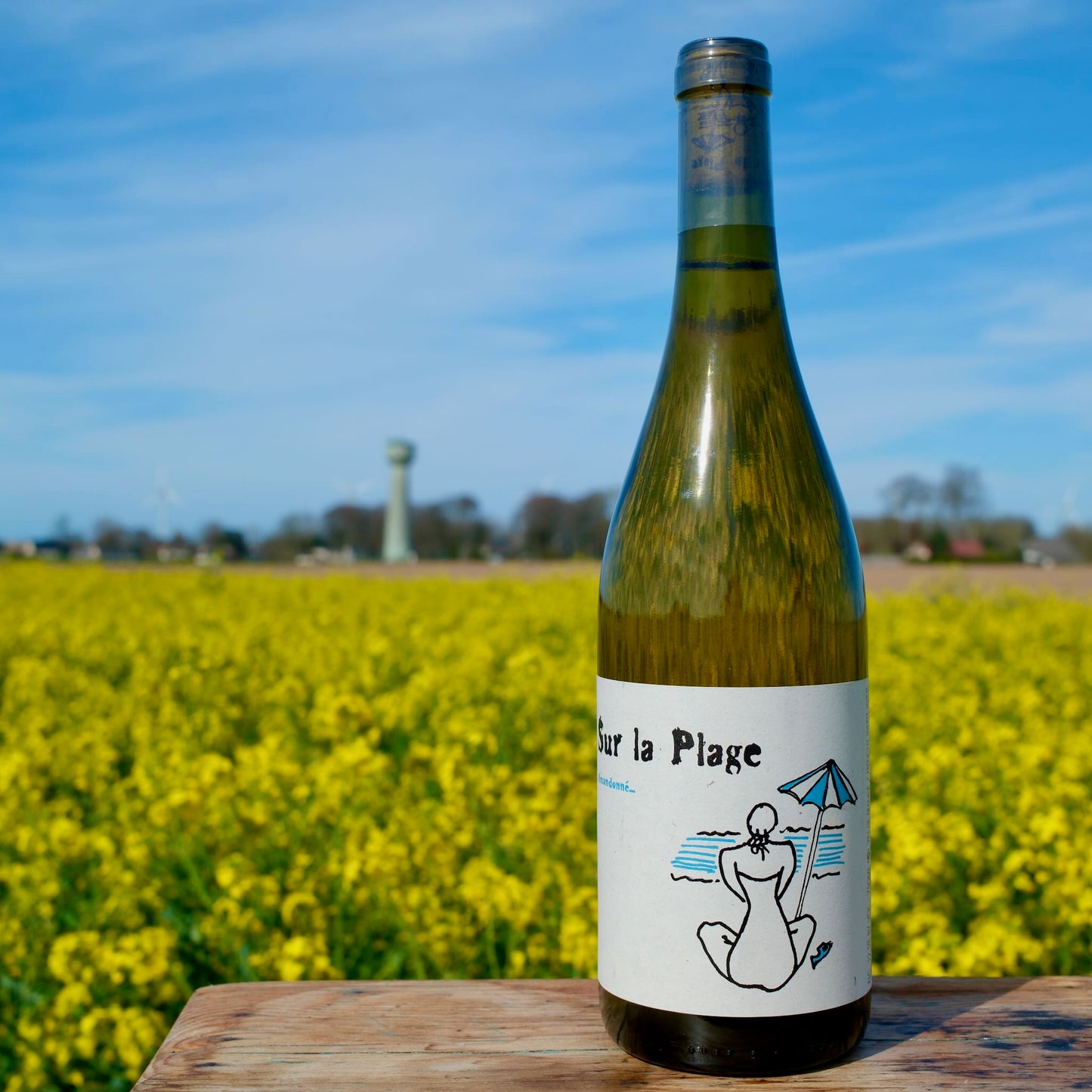 Domaine Rimbert - Sur la Plage