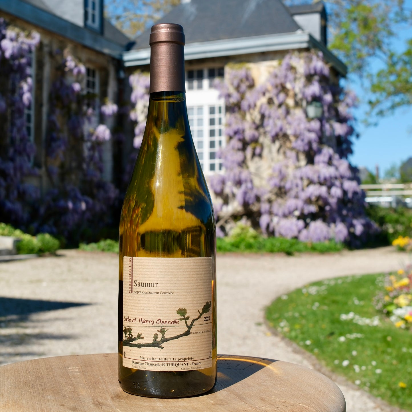 Domaine Chancelle - Saumur le blanc