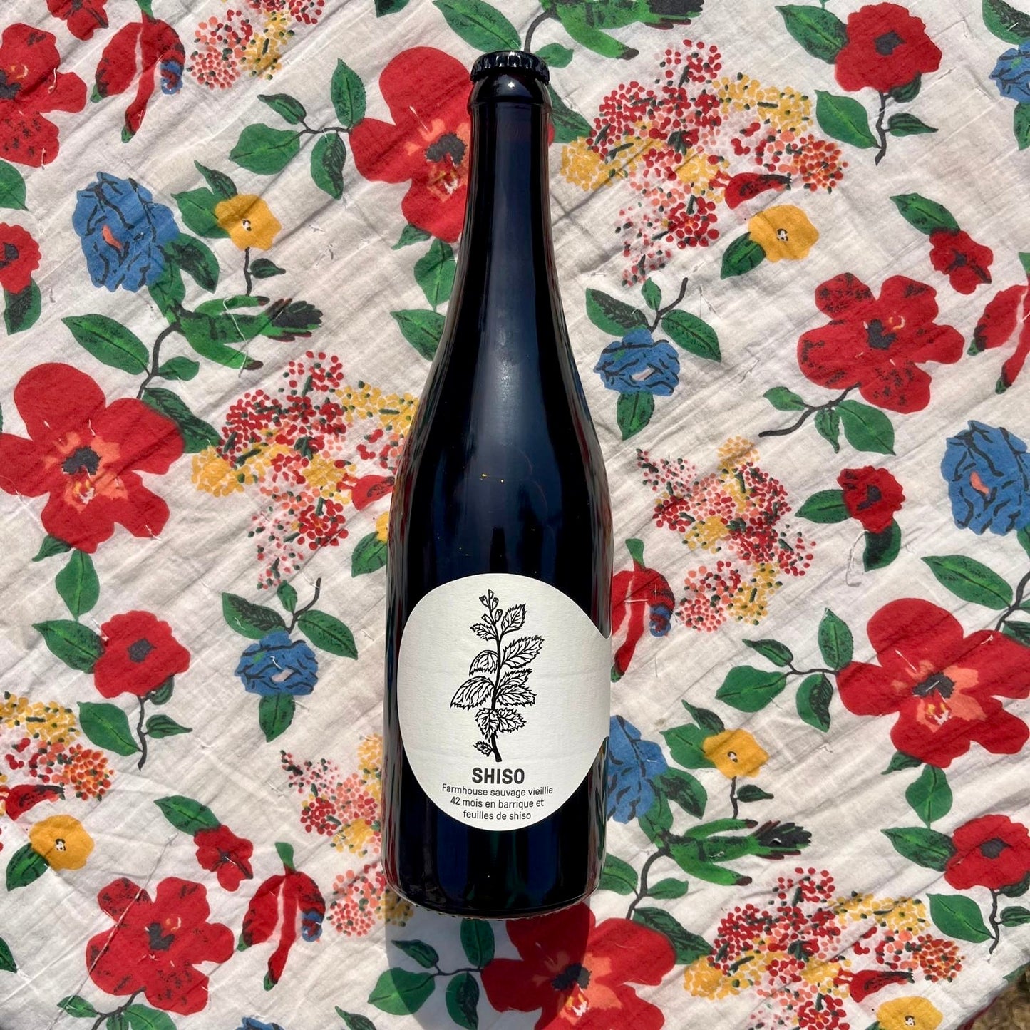 Shiso - SPORE