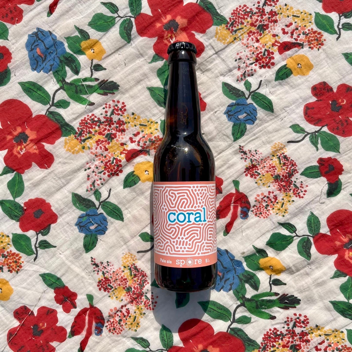 Coral SPORE
