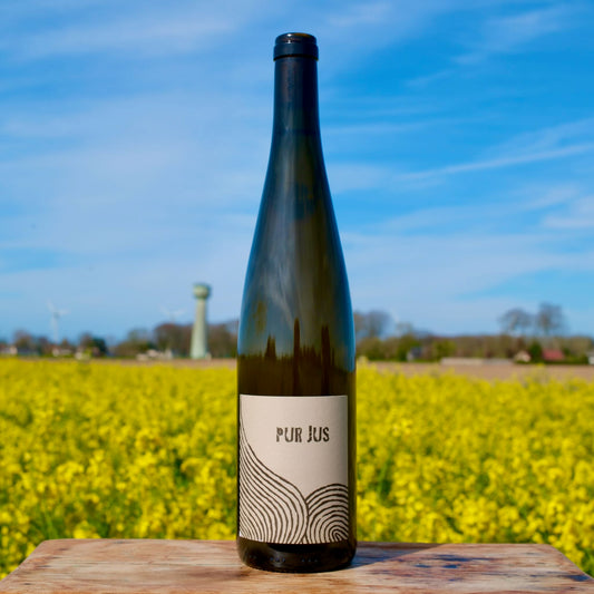 Léo Dirringer - Pur Jus