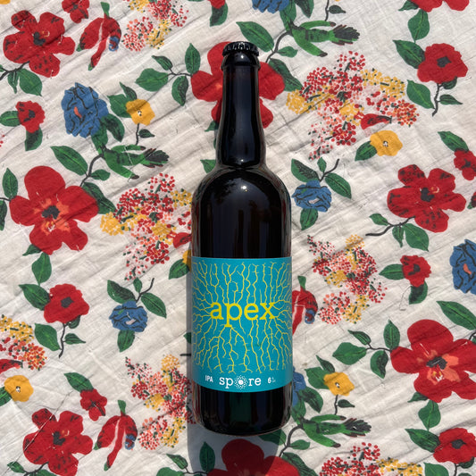 Apex IPA - Spore