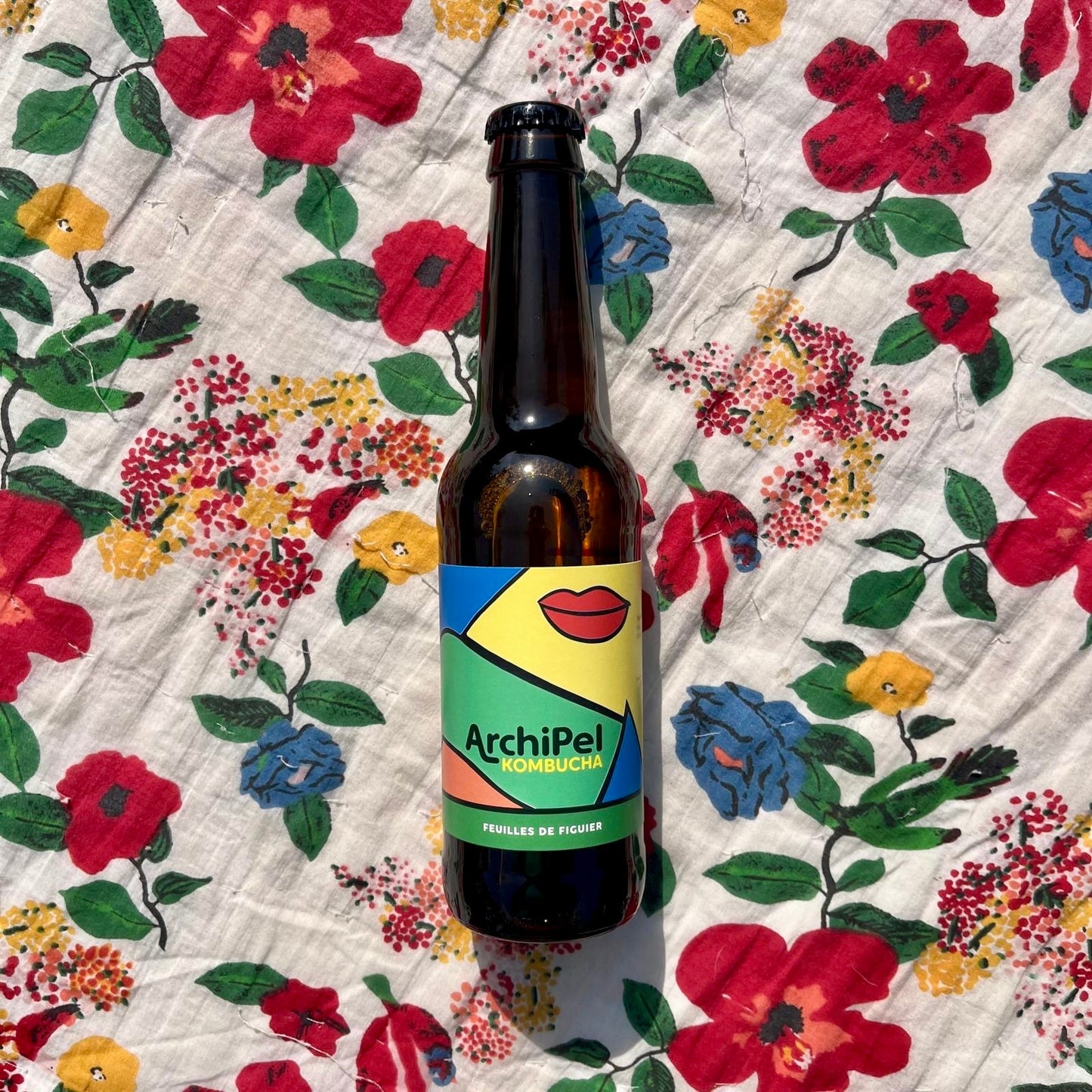 Archipel KOMBUCHA - feuilles de figuier